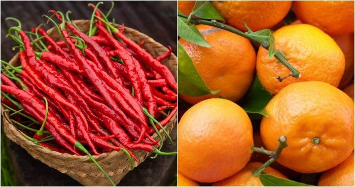 मणिपूरच्या सिराराखोंग मिरचीला आणि तमेंगलोंग संत्र्याला मिळाला GI टॅग