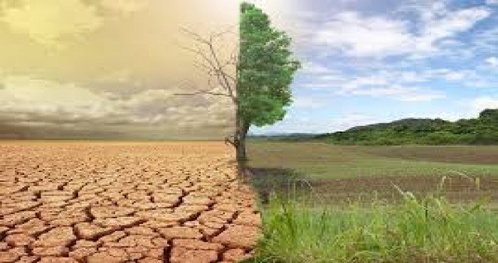 हवामान बदल कामगिरी निर्देशांकामध्ये भारत १० व्या क्रमांकावर विराजमान