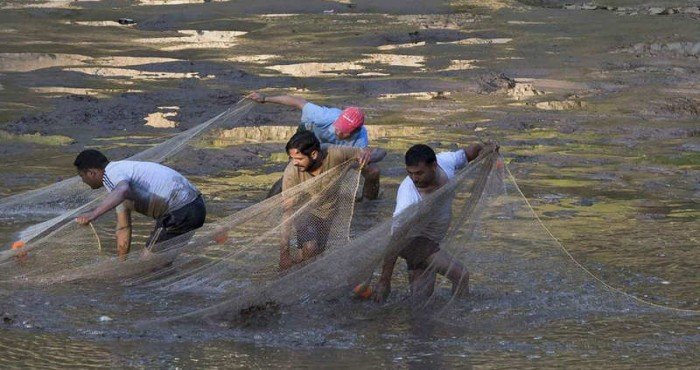 मत्स्य शेतकर्‍यांसाठी केंद्र सरकारमार्फत ‘मत्स्य सेतू (Matsya Setu)’ नावाच्या मोबाईल अ‍ॅपचे अनावरण