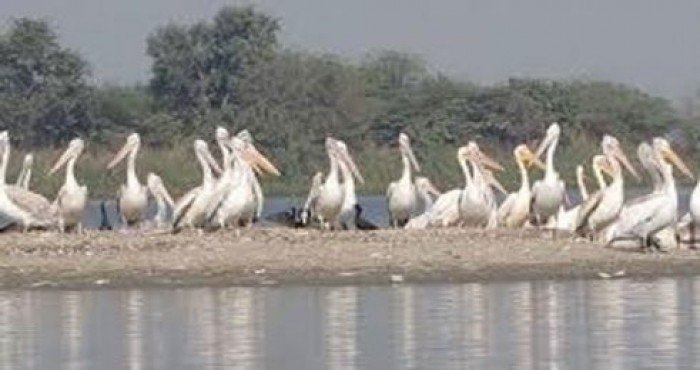 उत्तर प्रदेशातील किथम तलावाचा रामसर यादीमध्ये (Ramsar sites) समावेश