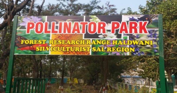 उत्तराखंडमध्ये विकसित करण्यात आला भारतातील पहिला परागकण पार्क (Pollinator Park)