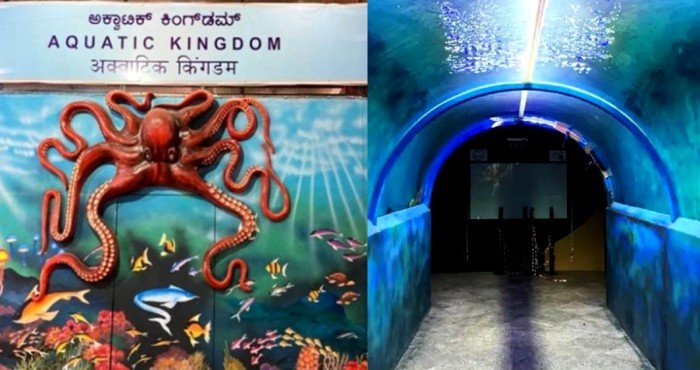 बंगळुरु स्थानकात भारतातील पहिले हलविता येणारे गोड्या पाण्यातील बोगदा मत्स्यालय स्थापन