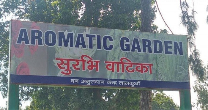उत्तराखंडमध्ये देशातील सर्वात मोठ्या सुगंधी बागेचे अनावरण