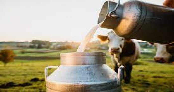 जेरी गाव जम्मू आणि काश्मीरमधील पहिले ‘दुग्ध गाव (Milk Village)’ म्हणून घोषित