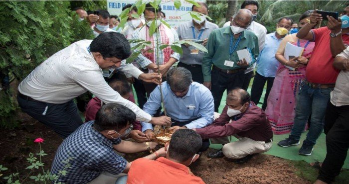 आसाममध्ये जगातील पहिल्या जनुकीय सुधारित (Genetically Modified - GM) रबराची लागवड