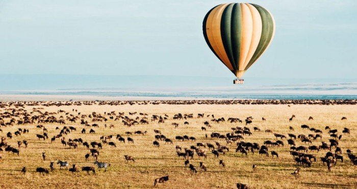 भारतातील पहिल्या हॉट एअर बलून वन्यजीव सफारीचे (Hot Air Balloon Wildlife Safari) मध्य प्रदेशात अनावरण