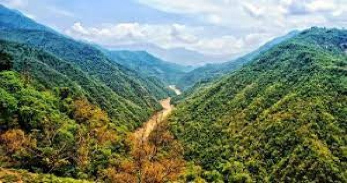 उत्तराखंडमधील रानीखेत येथे भारतातील पहिल्या गवत संरक्षक संस्थेचे उद्घाटन