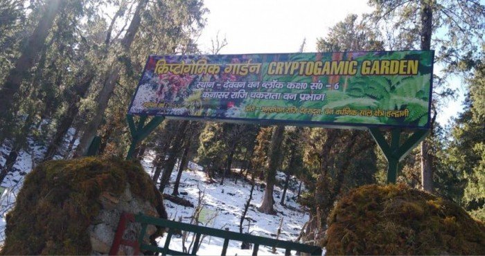 उत्तराखंडमध्ये भारतातील पहिल्या क्रिप्टोगॅमिक गार्डनचे उद्घाटन