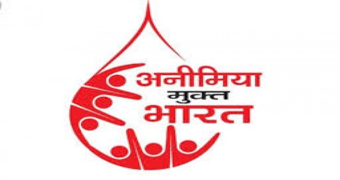अ‍ॅनेमिया मुक्त भारत निर्देशांकात मध्य प्रदेश अव्वल स्थानावर विराजमान