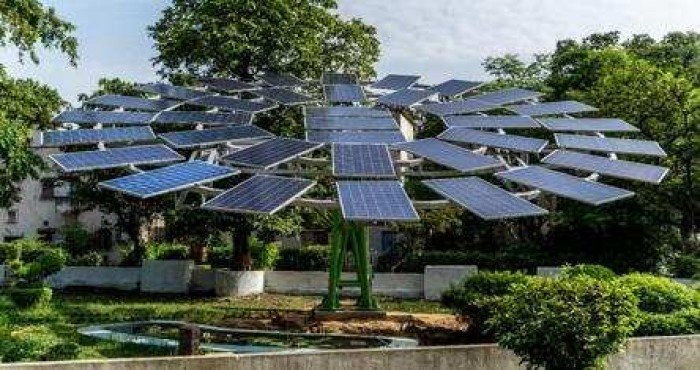 CSIR-CMERI मार्फ़त जगातील सर्वात मोठा सौरवृक्ष विकसित