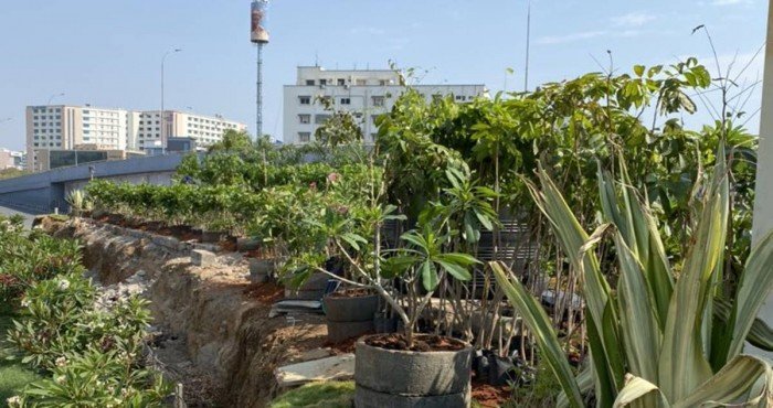हैद्राबादला ‘२०२० ट्री सिटी ऑफ वर्ल्ड (Tree City of the World)’ म्हणून मान्यता
