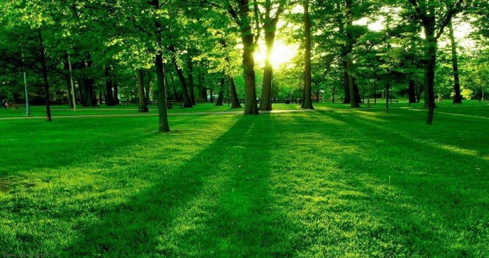 मध्य प्रदेश सरकारमार्फत ‘अंकुर’ नावाच्या योजनेचे अनावरण